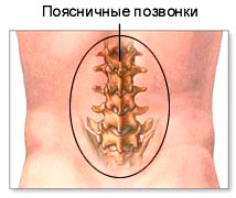 http://spina63.ru/images/articles/pozv/pozv29.jpg